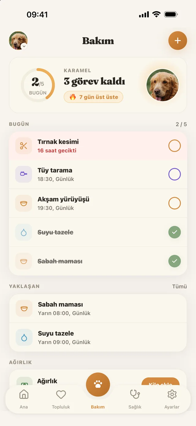 Patibu Bakım ekranı: bugünün görevleri